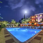 The Palm Garden